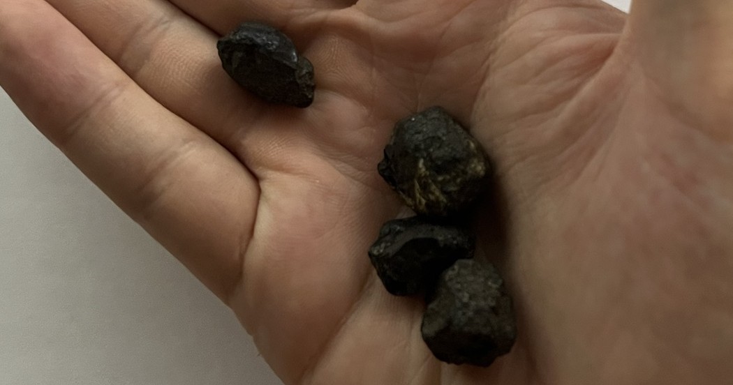 Four polymetallic nodules resting in an open palm